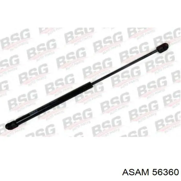 Amortiguador de maletero Asam 56360 precio, desde 12,87 EUR
