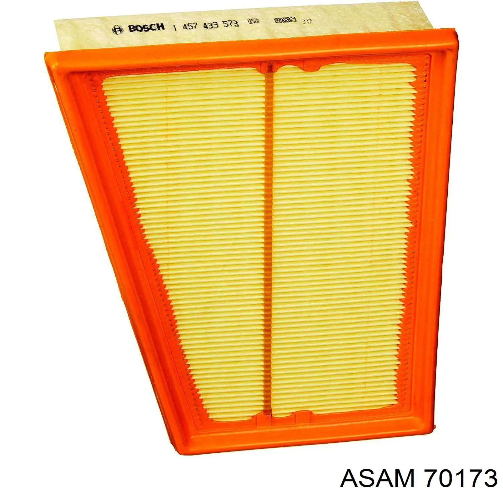 70173 Asam filtro de aire