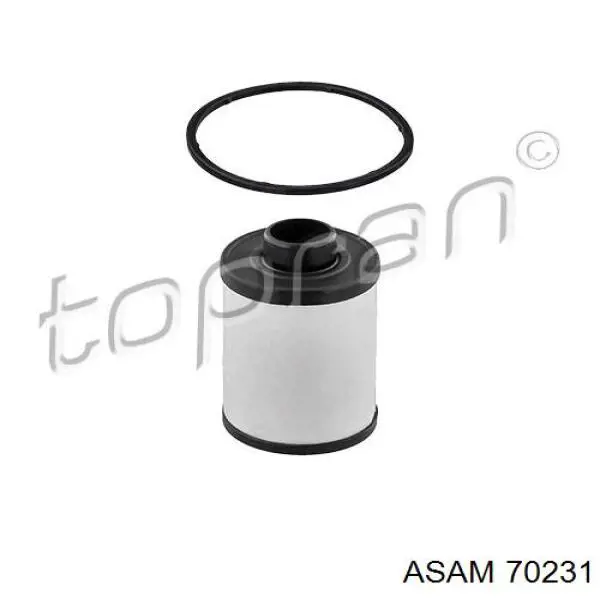 Filtro combustible Fiat Ducato 3 250