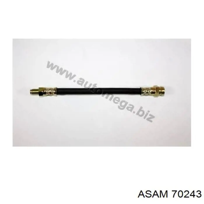 Comprar 70243 Asam Filtro diesel