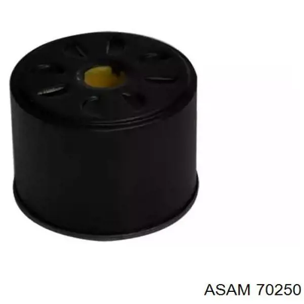 70250 Asam Filtro de gasolina