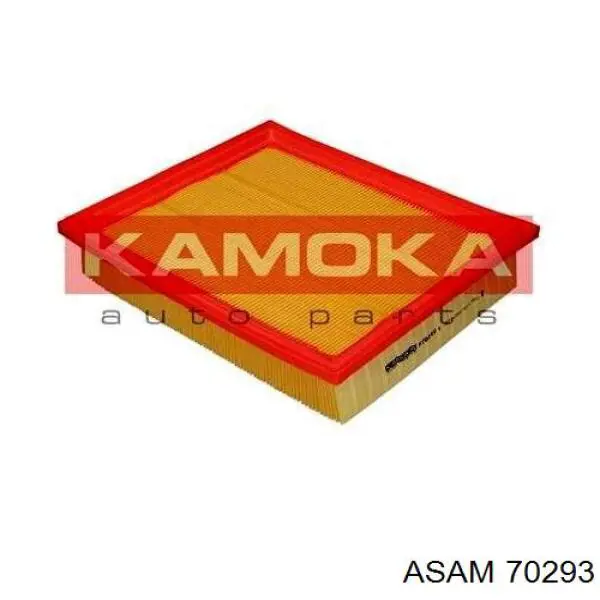 70293 Asam Filtro de aire de motor