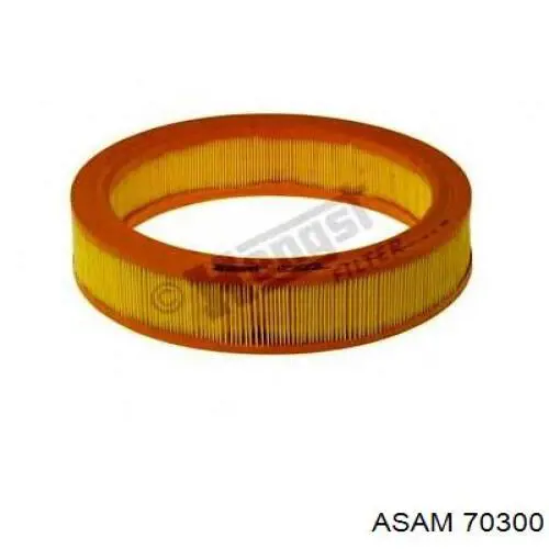 El filtro de aire Asam 70300 precio, desde 7,64 EUR
