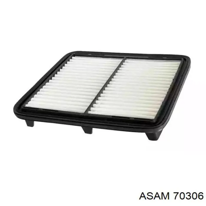 Filtro de aire 70306 Asam