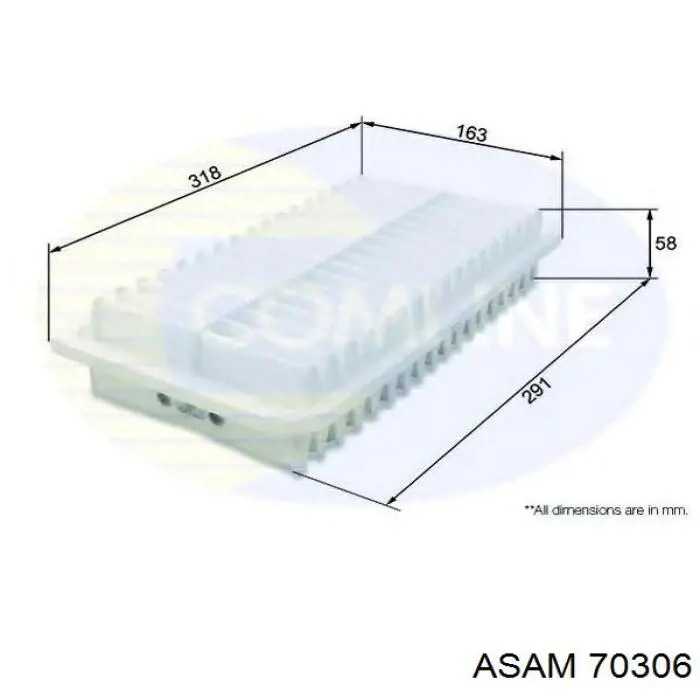 Filtro de aire 70306 Asam