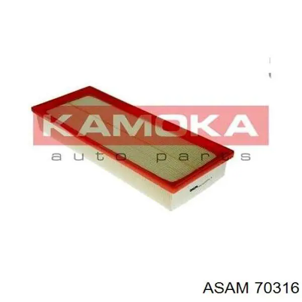 70316 Asam Filtro de aire de motor
