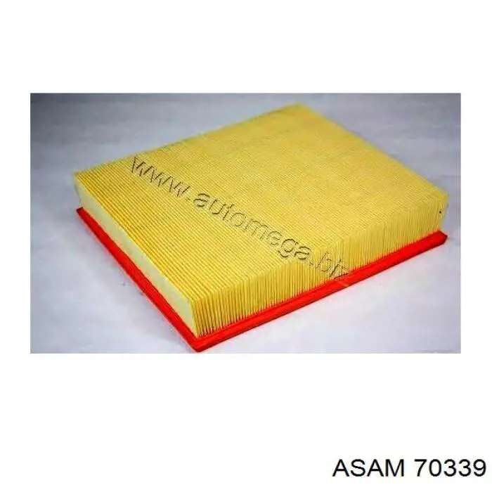Filtro de aire 70339 Asam