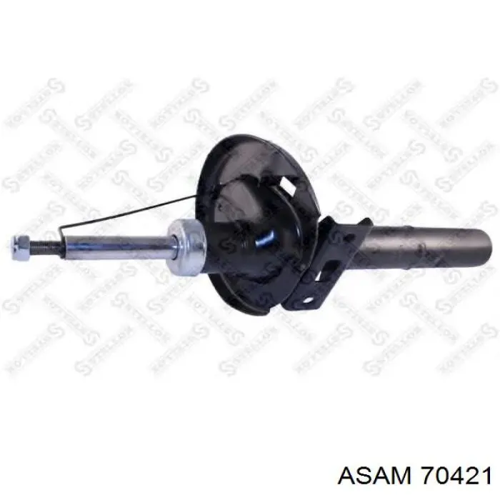 70421 Asam