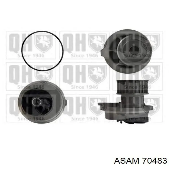 Motor de agua Asam 70483
