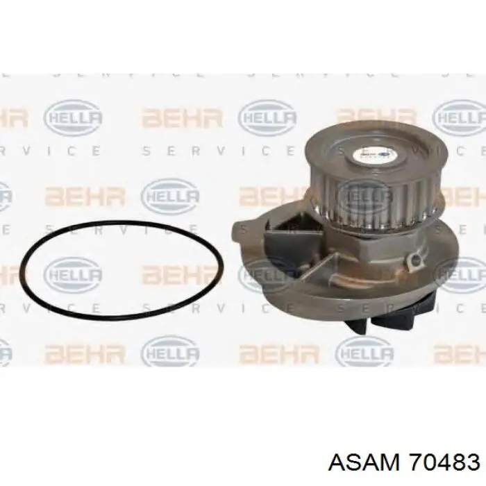Bombeadora de agua Asam 70483 precio, desde 31,76 EUR