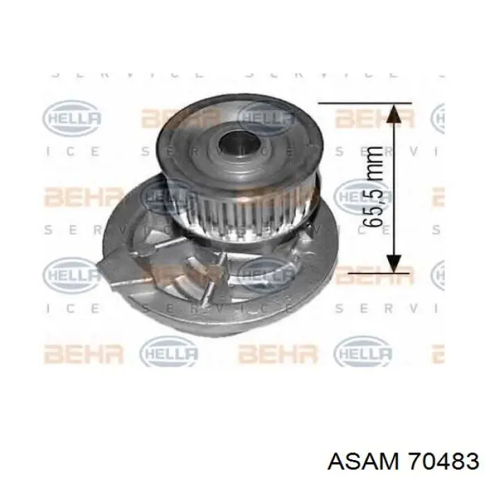 Comprar 70483 Asam Bomba de agua para motor