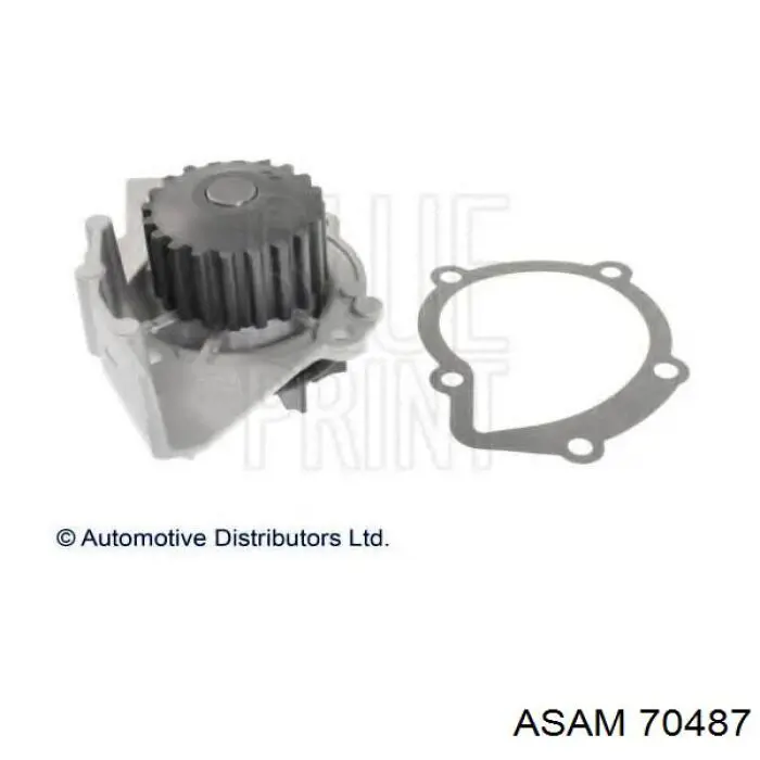 Bomba de agua Peugeot 406 8B