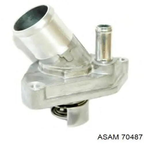 Bomba de agua Peugeot 406 8B