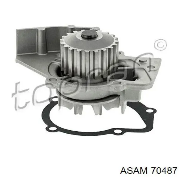 Bomba de agua Peugeot 406 8B