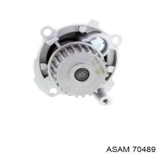 Bombeadora de agua Asam 70489 precio, desde 32,72 EUR