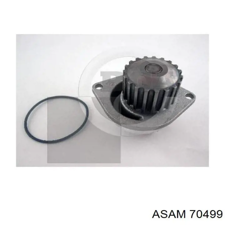 Bombeadora de agua Asam 70499 precio, desde 28,27 EUR