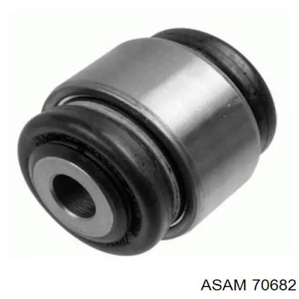 Buje de mangueta trasera 70682 Asam