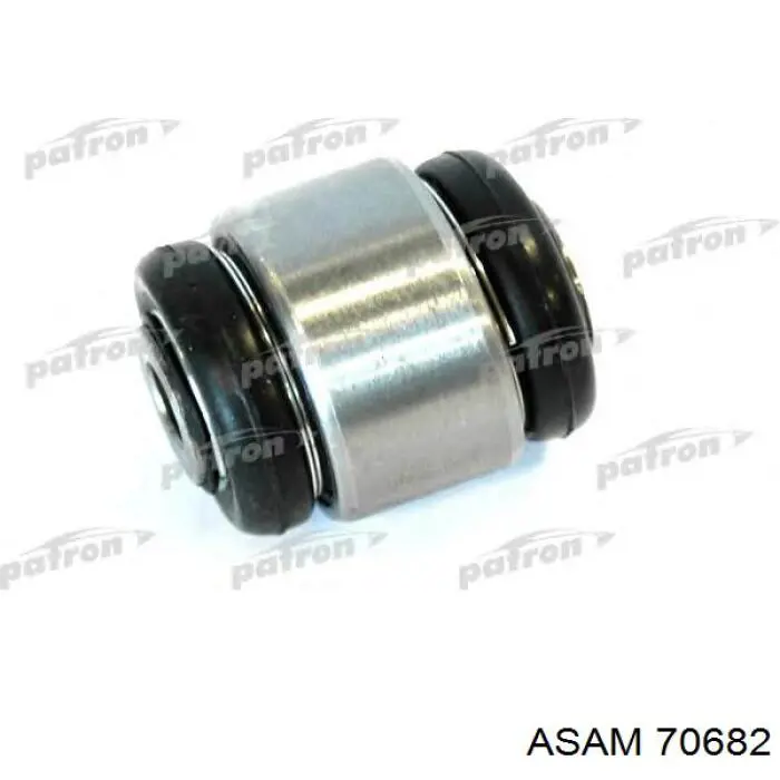 Buje de mangueta trasera Asam 70682