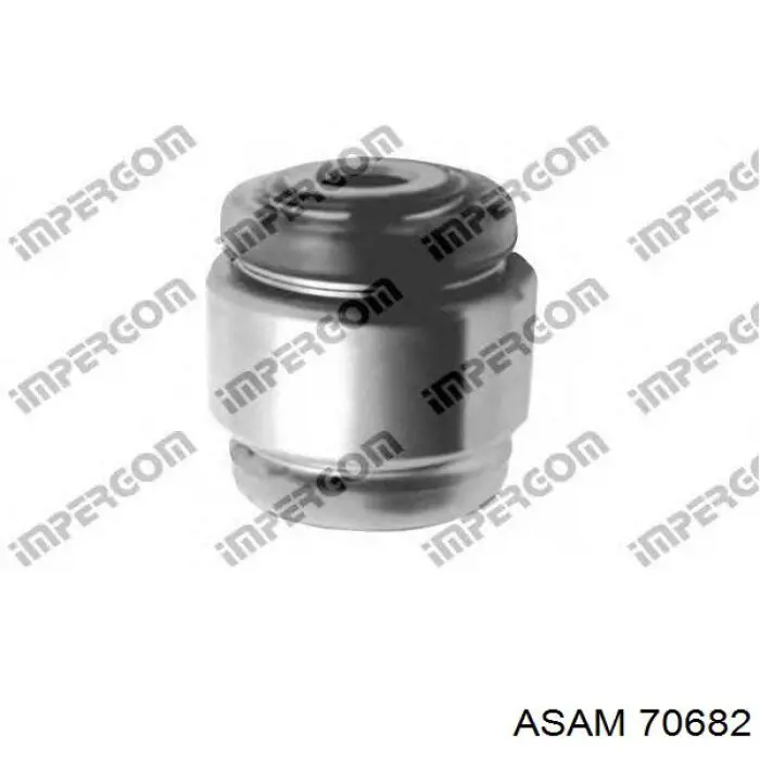 70682 Asam Buje de mangueta trasera
