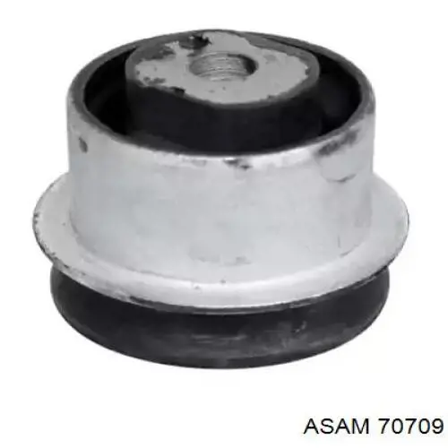 Buje delantero del brazo longitudinal trasero Asam 70709 precio, desde 12,62 EUR
