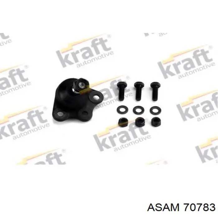 Rótula inferior de suspensión Asam 70783 precio, desde 11,65 EUR