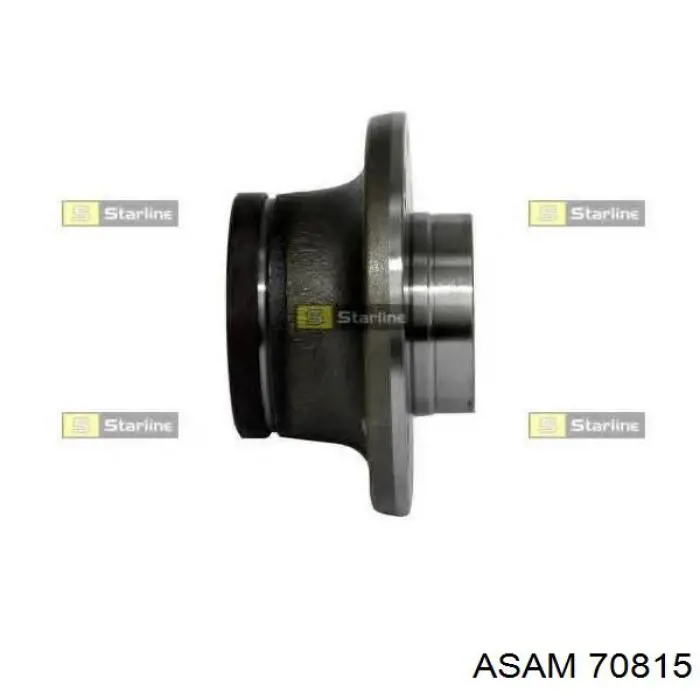 Cubo de rueda trasero 70815 Asam