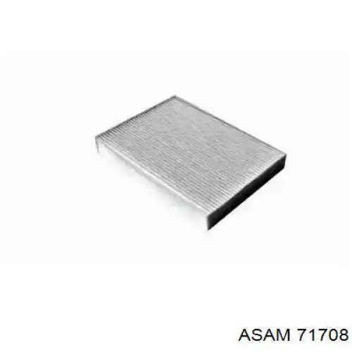 71708 Asam Filtro antipolen
