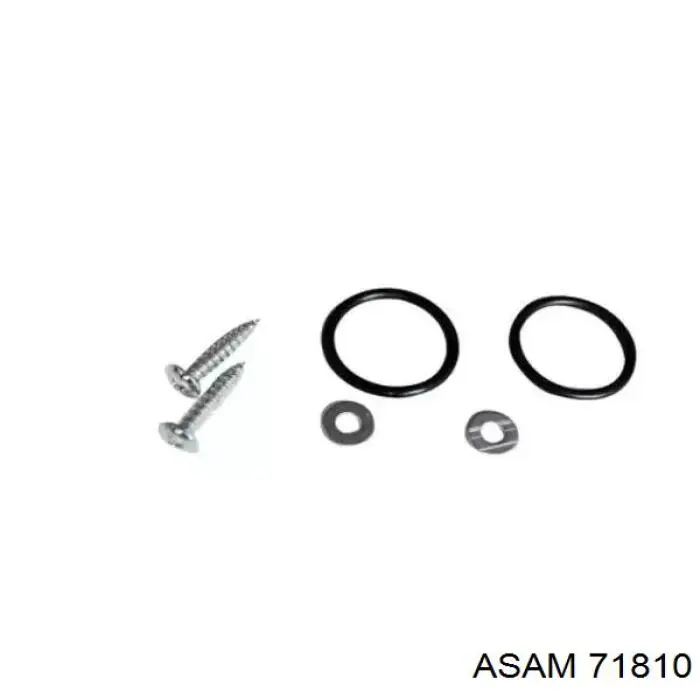 71810 Asam radiador de calefacción