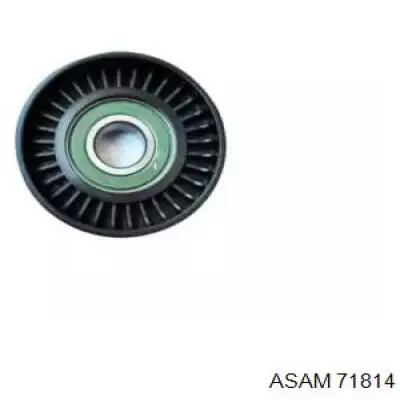 Rodillo tensor correa poli V Asam 71814 precio, desde 11,42 EUR