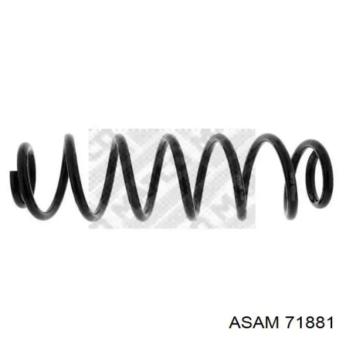 71881 Asam cojinete de rueda delantero