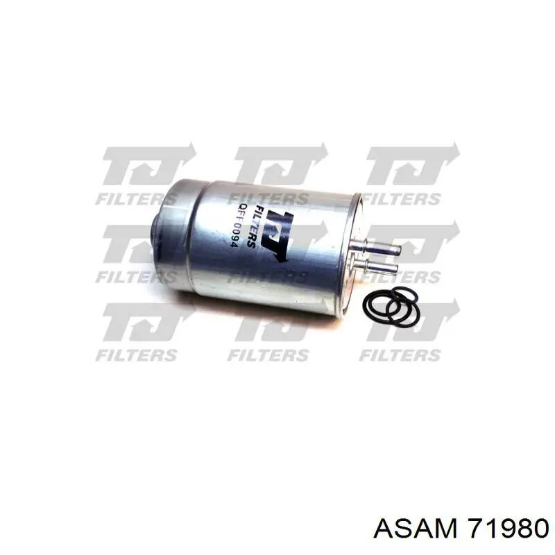 71980 Asam filtro combustible