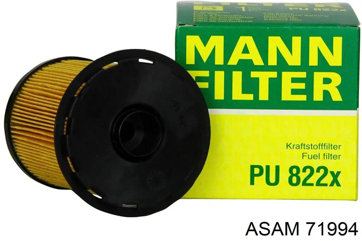 71994 Asam Filtro de gasolina