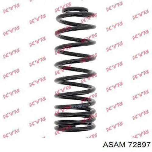 72897 Asam Muelle trasero