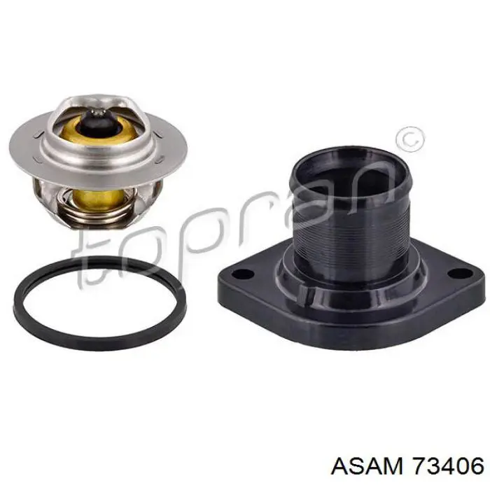 Comprar 73406 Asam Termostato