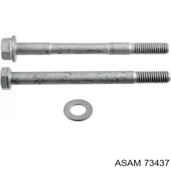 Tornillo de fijación de la rótula de suspensión delantera al muñón Asam 73437 precio, desde 4,16 EUR