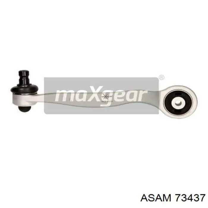 Tornillo de fijación de la rótula de suspensión delantera al muñón Asam 73437 precio, desde 4,16 EUR