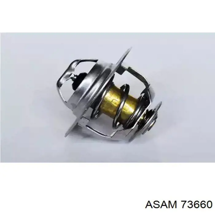 Termostato Opcional 1K0121113A Adler