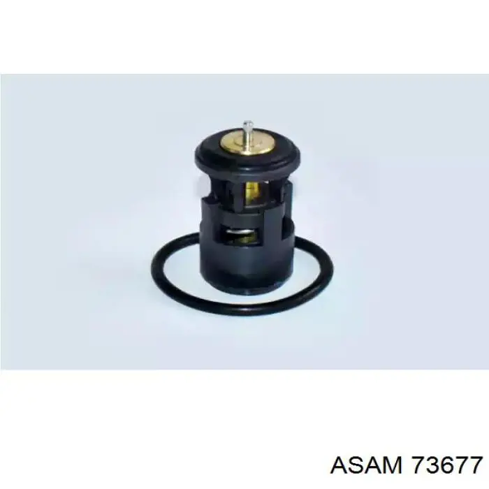 Termostato Asam 73677 precio, desde 25,97 EUR