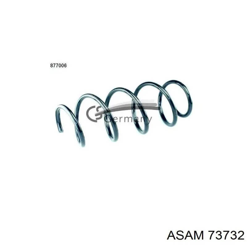 73732 Asam Muelle delantero