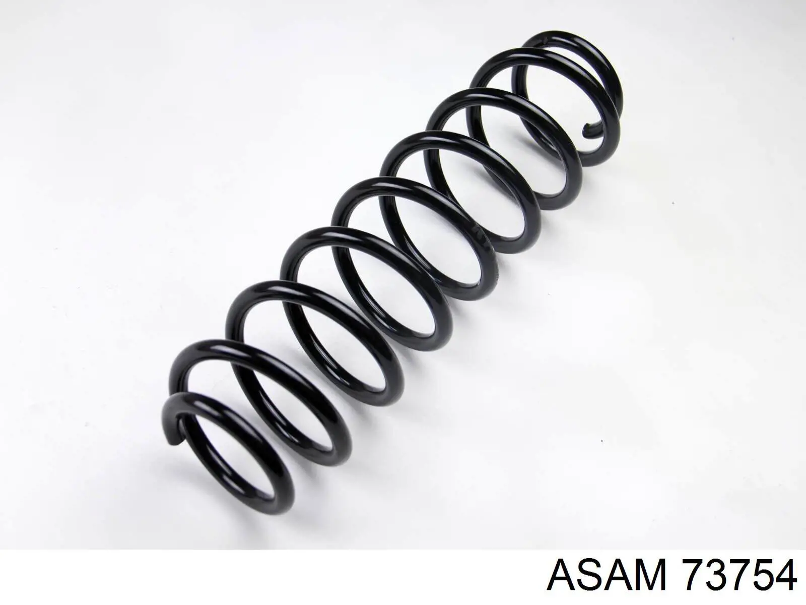73754 Asam Muelle trasero