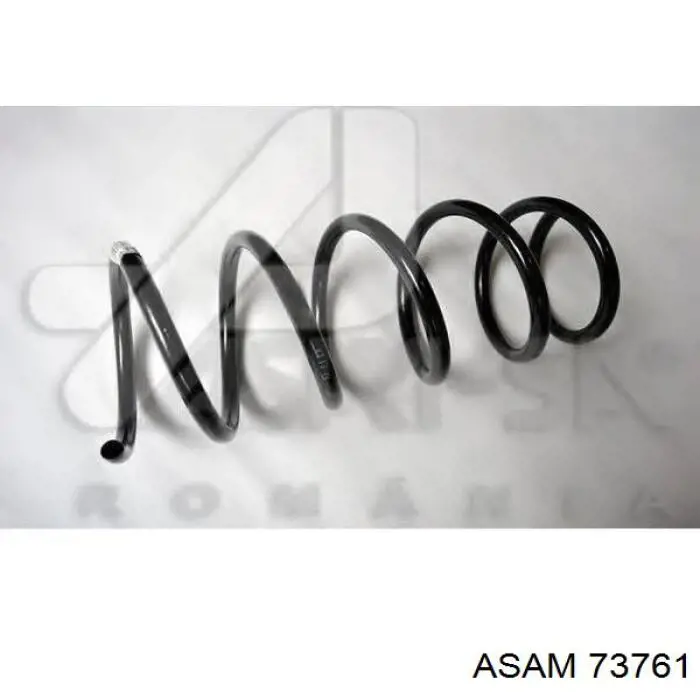 Muelle de suspensión trasero Asam 73761 precio, desde 18,62 EUR