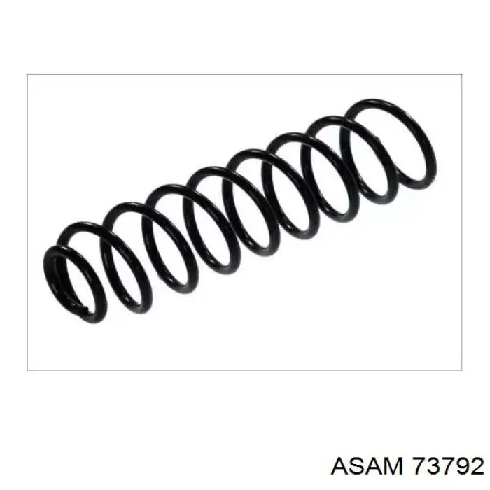 Muelle delantero 73792 Asam