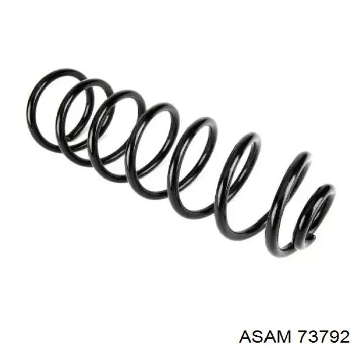 73792 Asam Muelle delantero