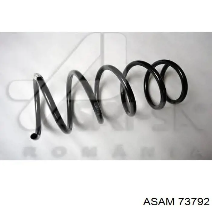 Comprar 73792 Asam Muelle delantero