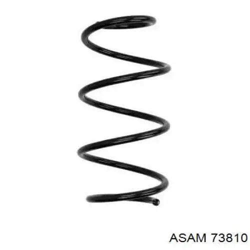 Comprar 73810 Asam Muelle delantero