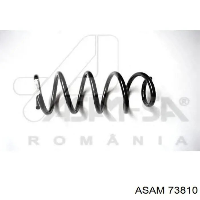 Muelle delantero Asam 73810 precio, desde 25,80 EUR