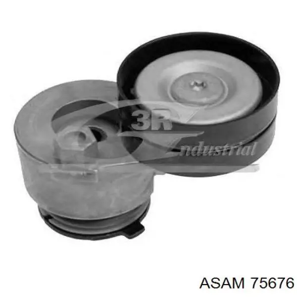 Comprar 75676 Asam Polea tensora, correa poli V