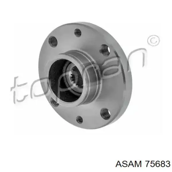 Cubo de rueda delantero Renault Clio 2 BB, CB