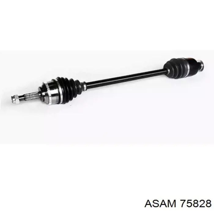 Semieje delantero derecho Asam 75828 precio, desde 105,09 EUR