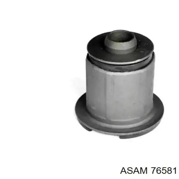 76581 Asam soporte para taco de motor trasero